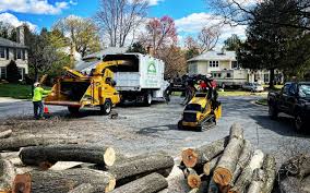 Lake Hamilton, AR Tree Removal Company